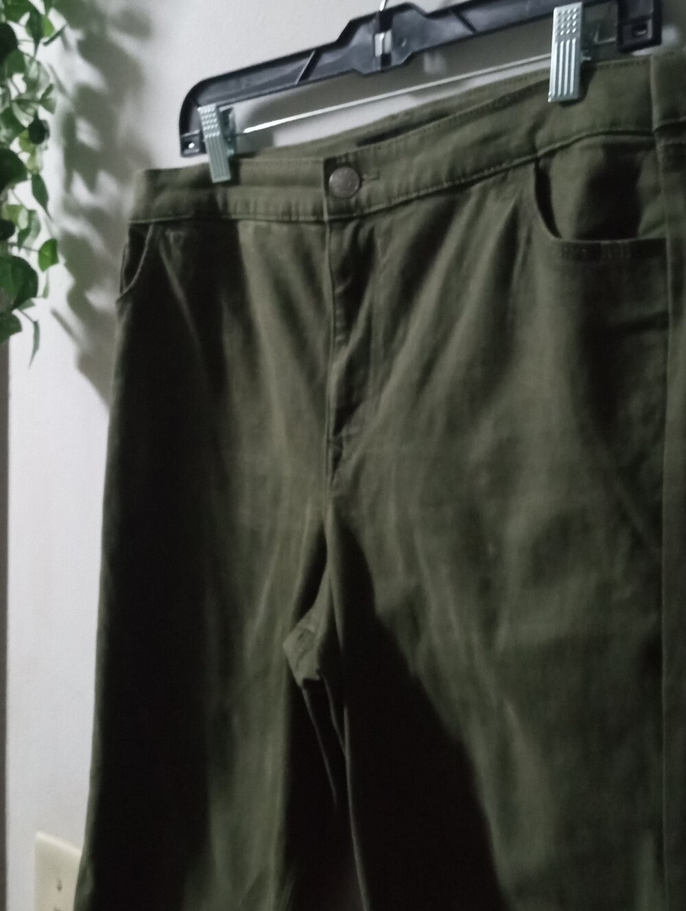 Express Olive Cropped Pants XL - Picture 2 of 5